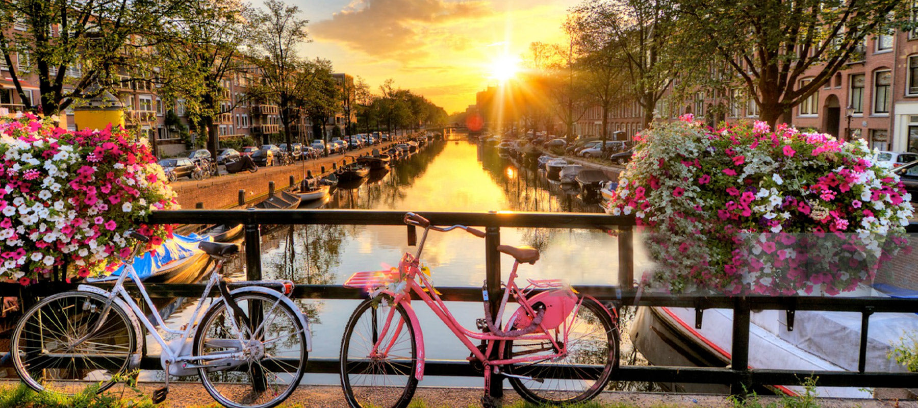 Top Events in Amsterdam
